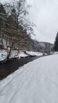 Lachsbach in Rathmannsdorf im Winter